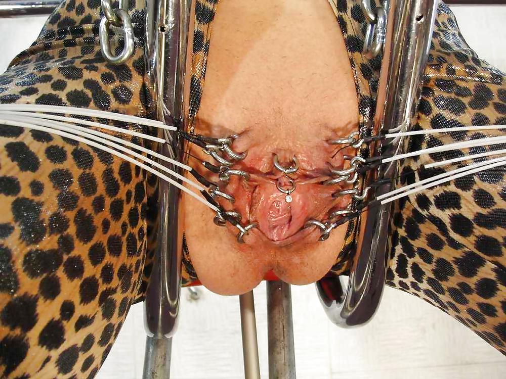 Piercings Pussy #9295335