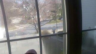 Flashing my cock at the window #9732318