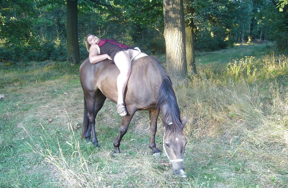 Hengst und stute
 #149171