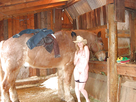 Hengst und stute
 #149191