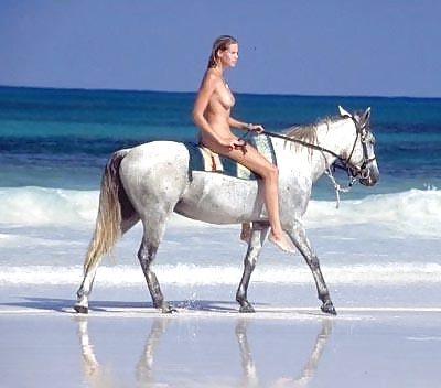 Hengst und stute
 #149322