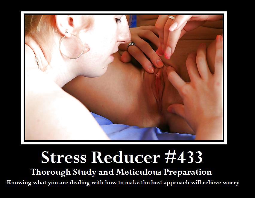 Funny Stress Reducer Caption Posters 422 to 441   81312 #10784746