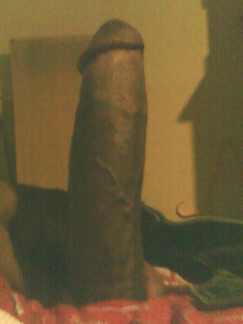 My philly dick #2096736