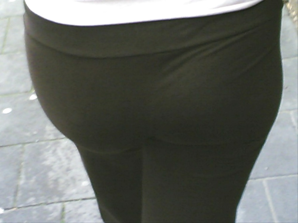 Asses of the world #896896