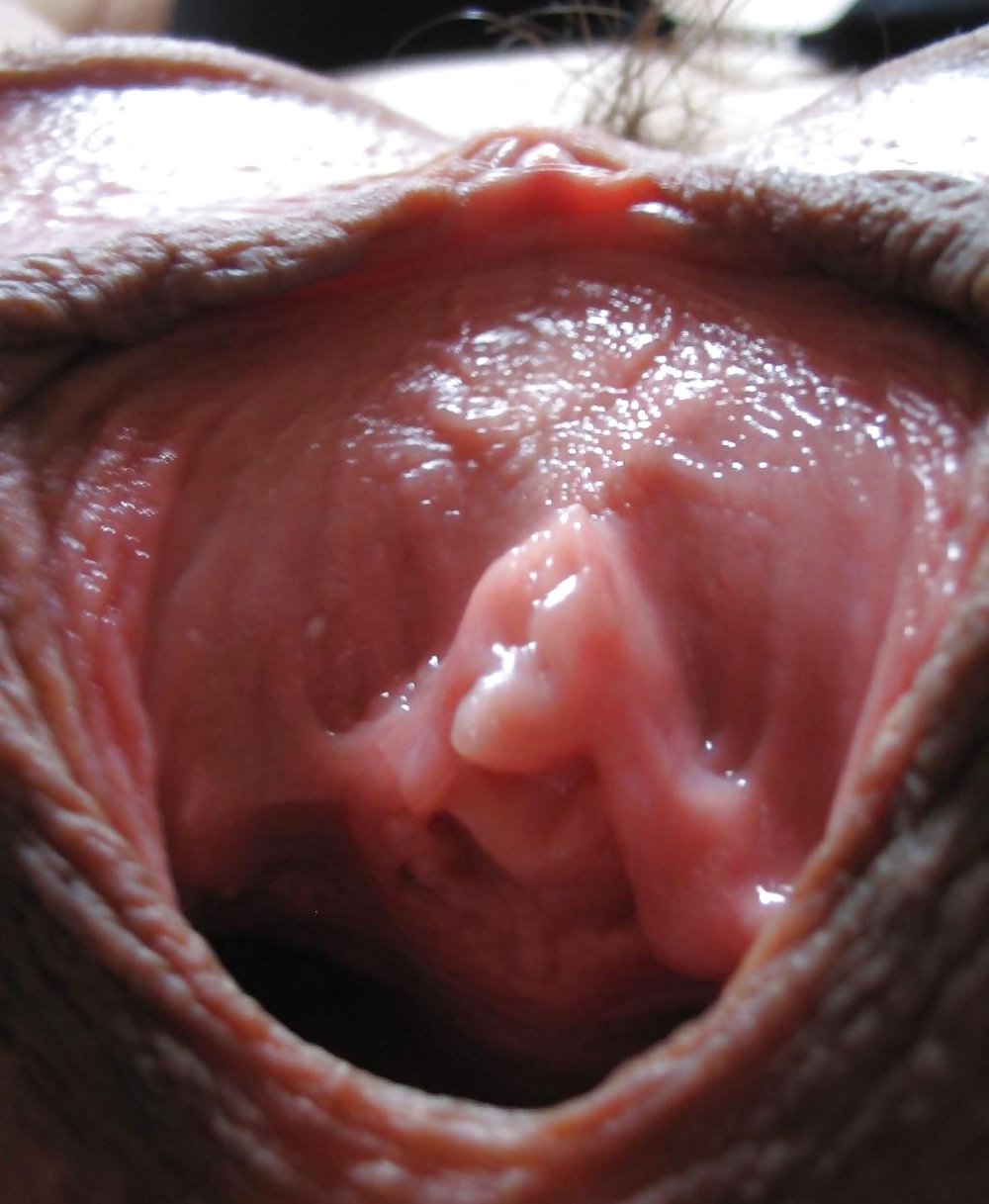 Pussy #4410529