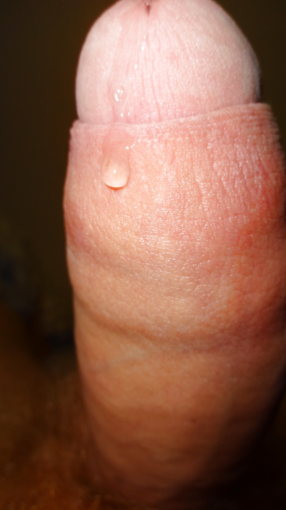 Insemination tool #18678453