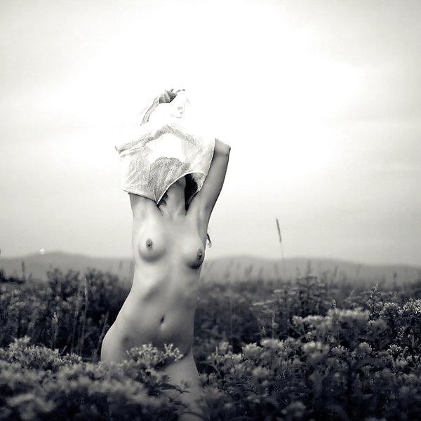 Art & Beauty 015 #8310030