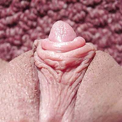 Gros clitos #5860107
