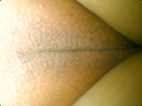 MY JUICE BOXES #16670632