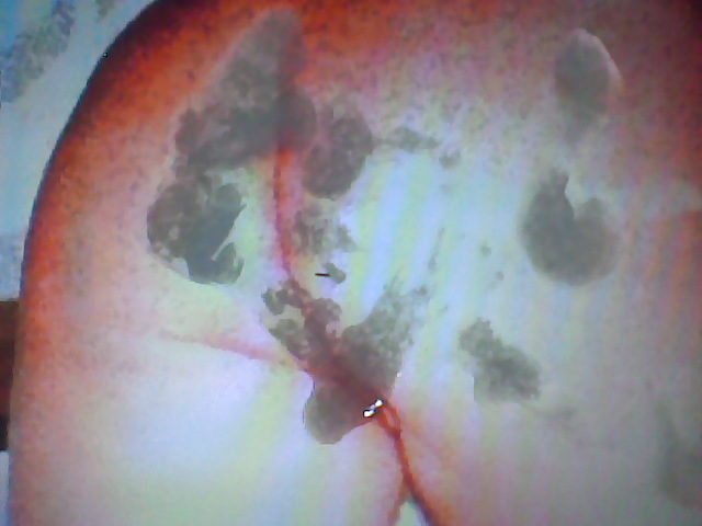 Shehe dass du nicht traurig bis #5401213