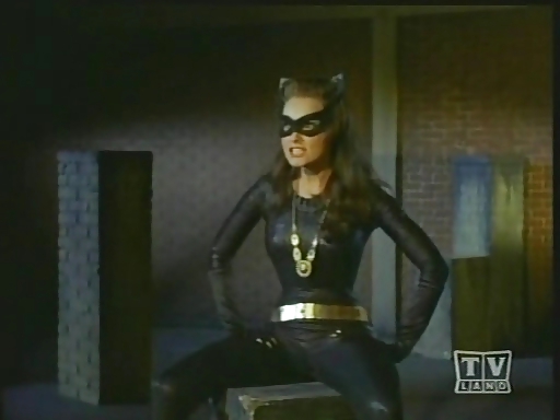 Julie newmar catwoman
 #12783703