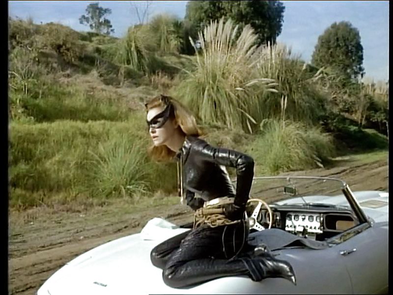 Julie Newmar Catwoman #12783734