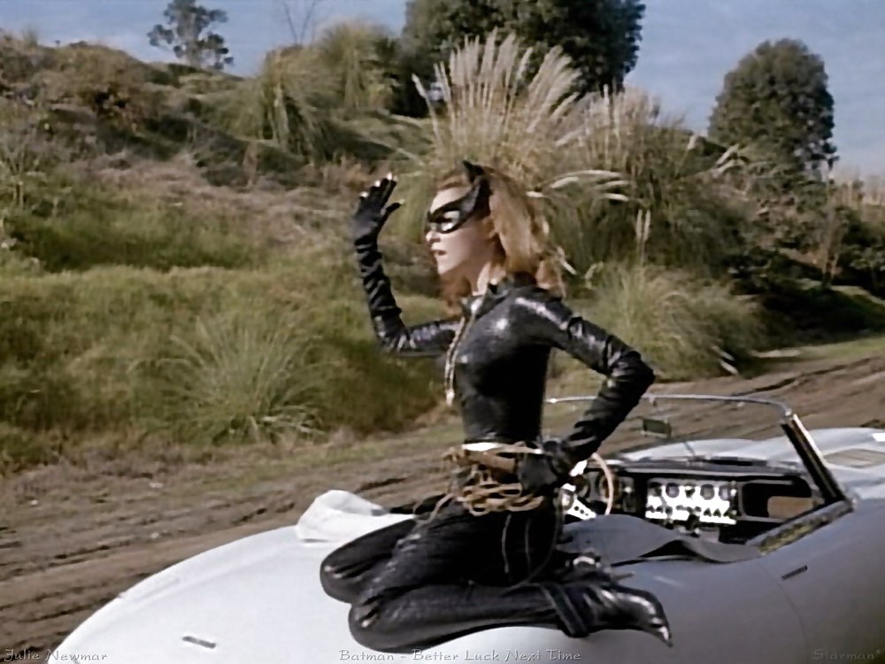 Julie Newmar Catwoman #12783771