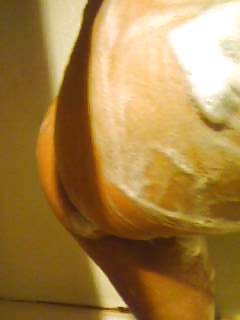 Divirtiéndose
 #8696977