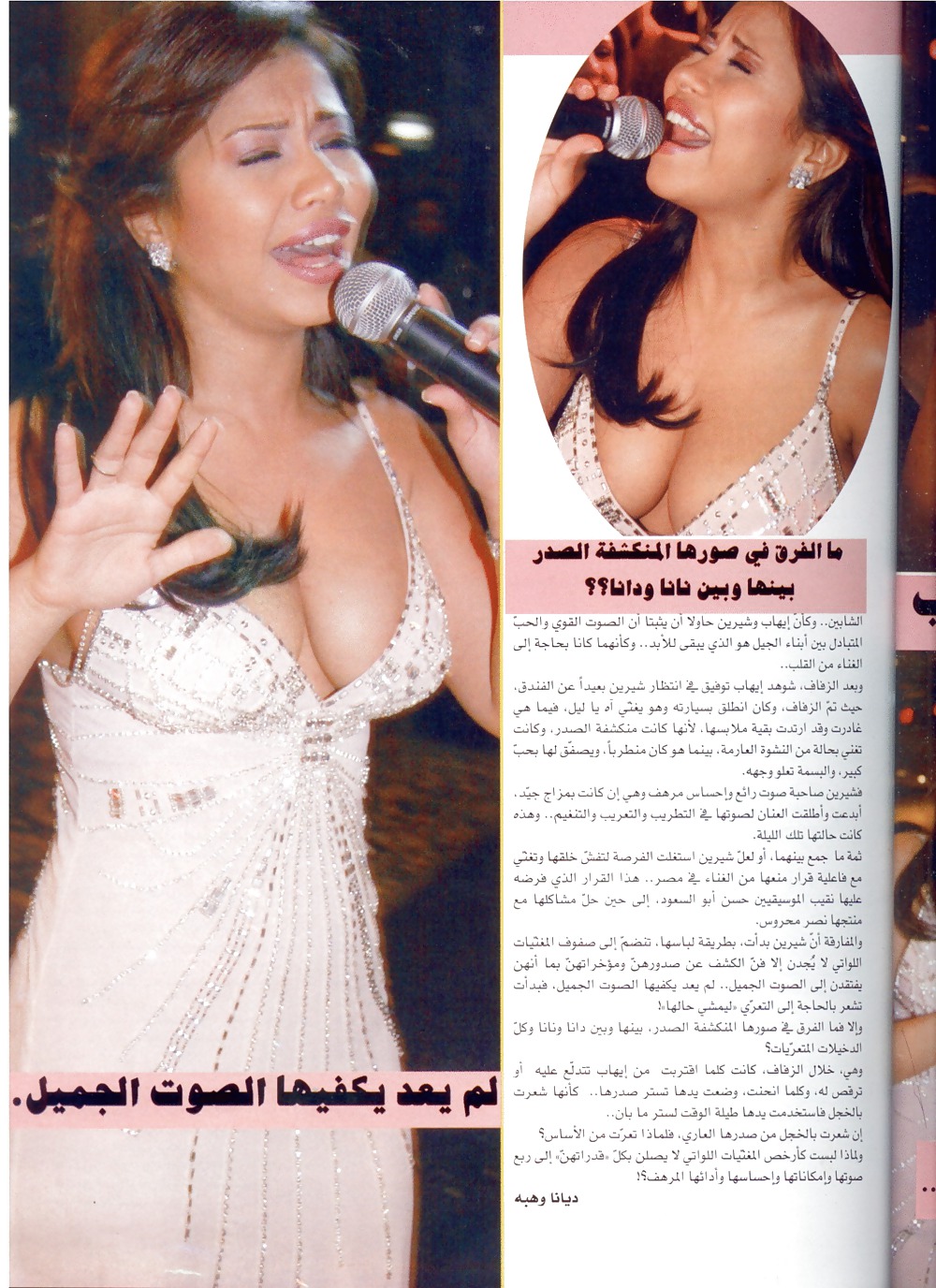 Arab and Egyptian celebrities #16814623