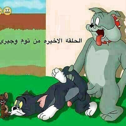Tom & Jerry #21377670