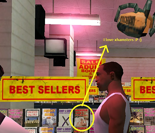 The SanAndreas  :P :) #4522272