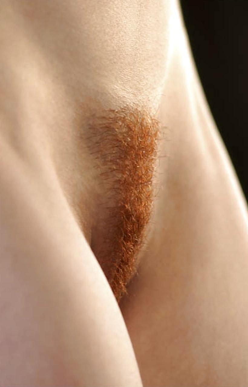 Preciosos desnudos - pelirrojas peludas
 #17936620