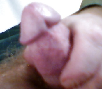 Morning cock #13986969