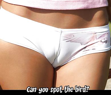 Riesci a riconoscere l'uccello!
 #4723264