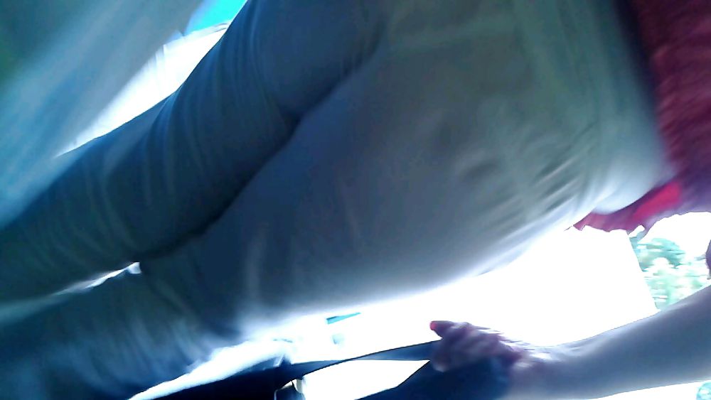 Cota rabuda
 #19839010