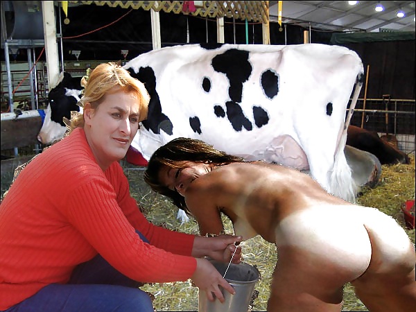 Milking woman farm #12159723