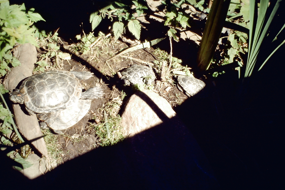 Overlooking the Plane #3501575