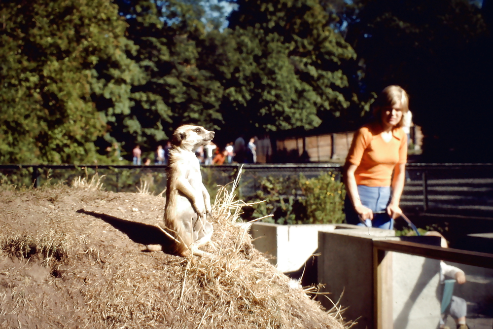 Overlooking the Plane #3501596