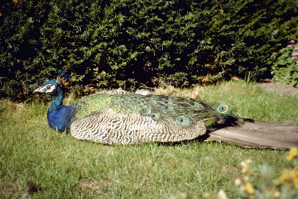 Overlooking the Plane #3501633