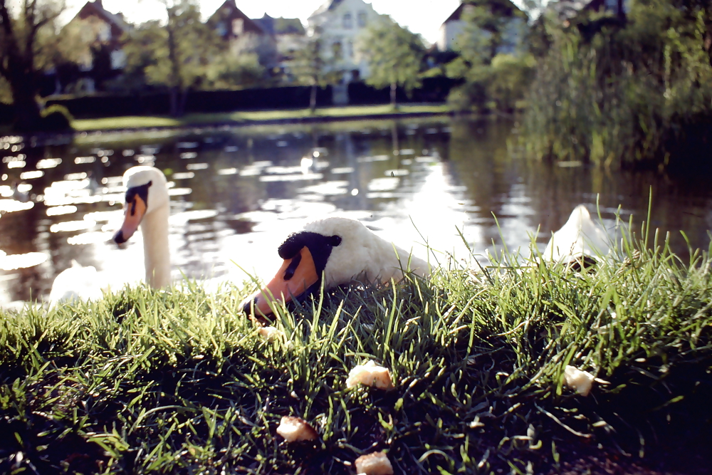 Overlooking the Plane #3501666