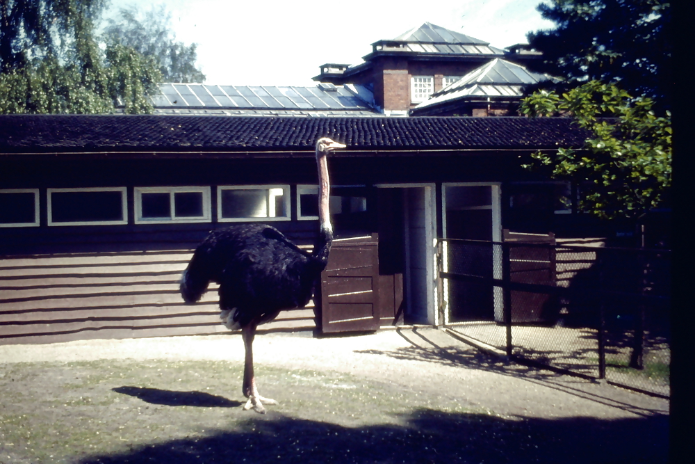 Overlooking the Plane #3501683