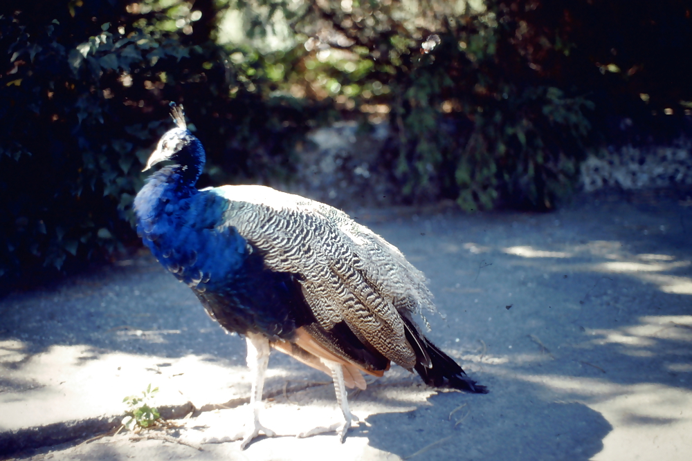 Overlooking the Plane #3501696