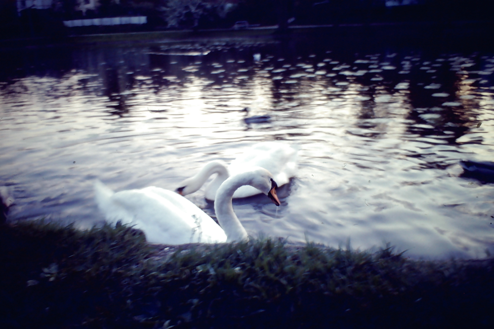 Overlooking the Plane #3501744