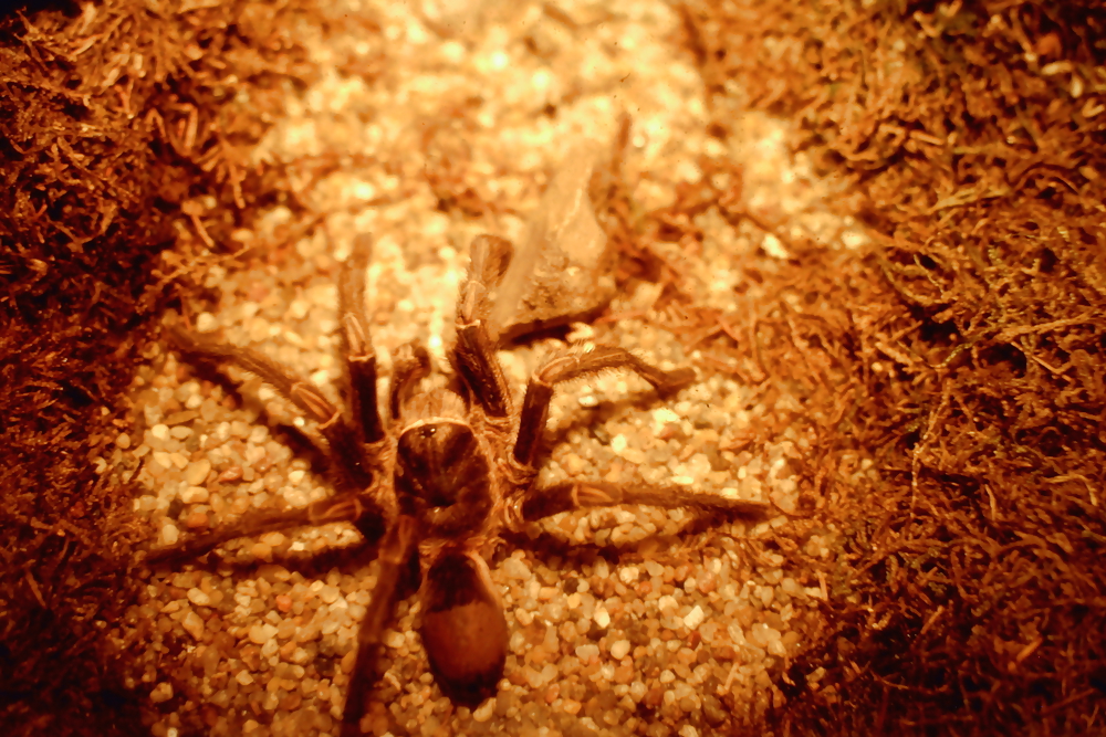 Overlooking the Plane #3501763