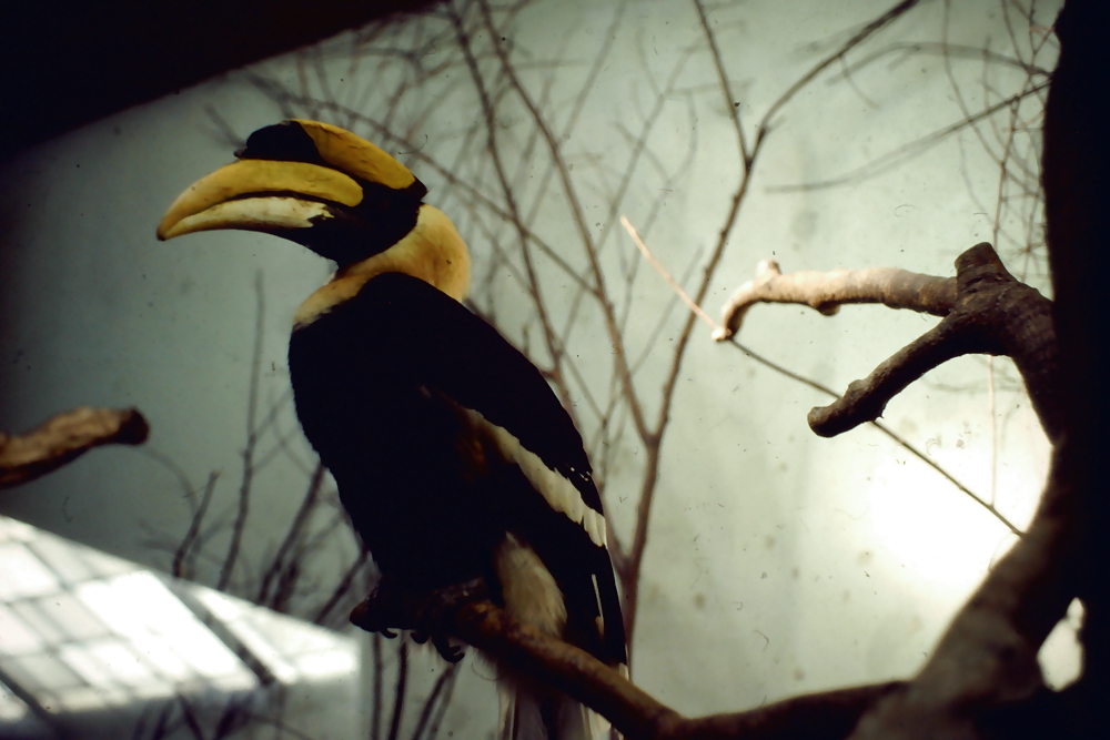 Overlooking the Plane #3501778