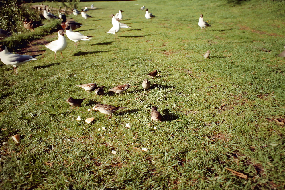 Overlooking the Plane #3501797