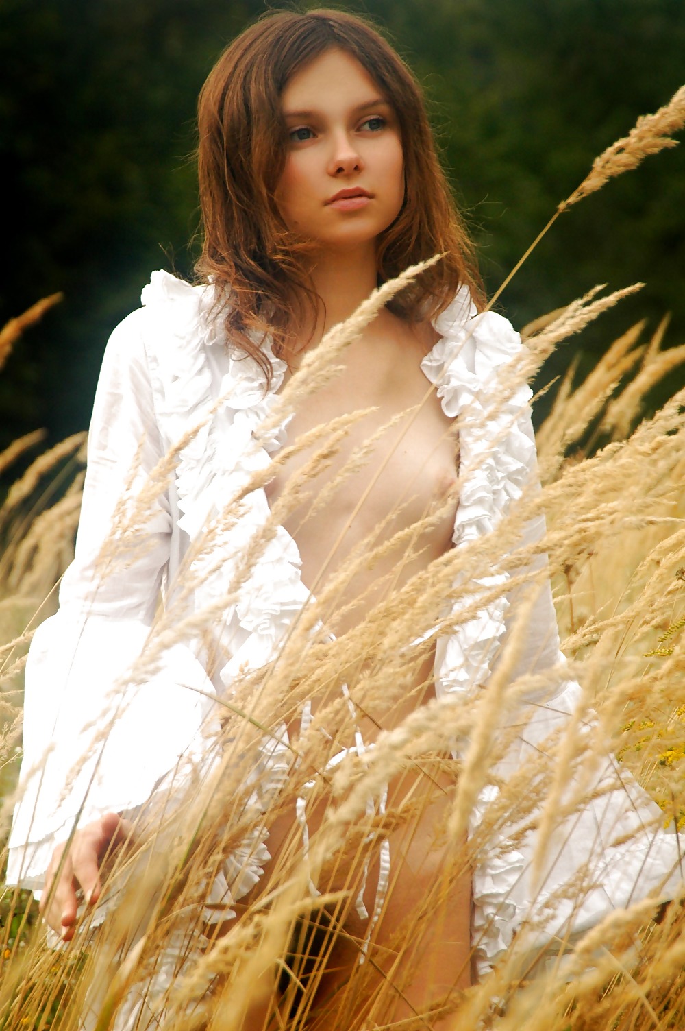 アンナのエレガンス
 #2088363