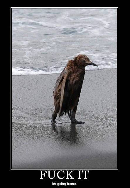 Motivational Humor 2 #8847529