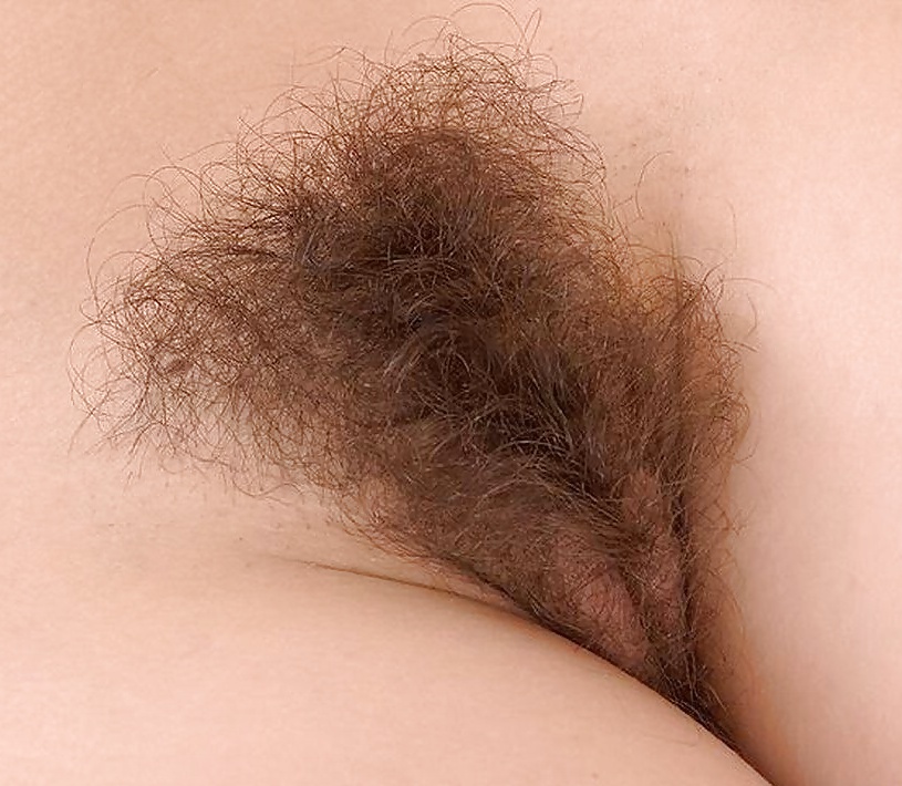 My collection of Russian hairy pussys - 11. Amateur. #15282598