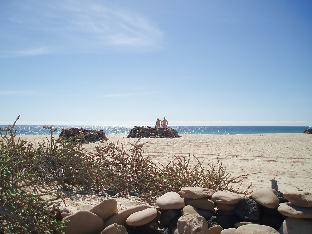 Hahn Am Strand #9446590