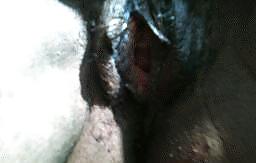 Pussy lickng Good #8302534