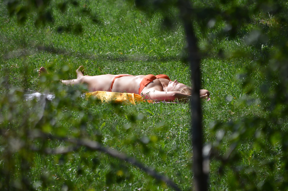 Milf to sunbathe in the park #14803501