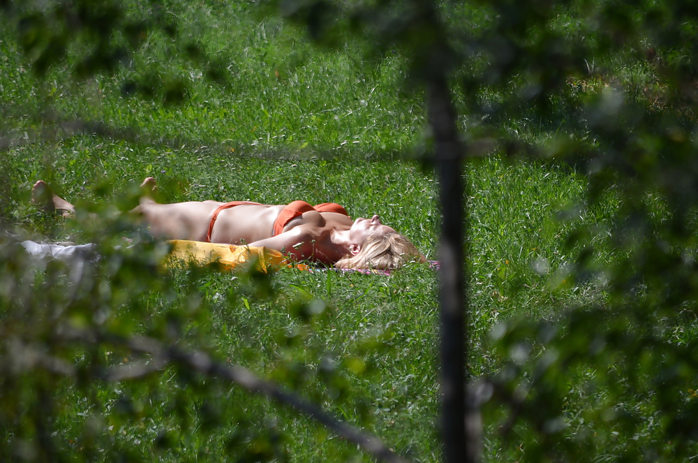 公園で日光浴をするミルフ
 #14803538