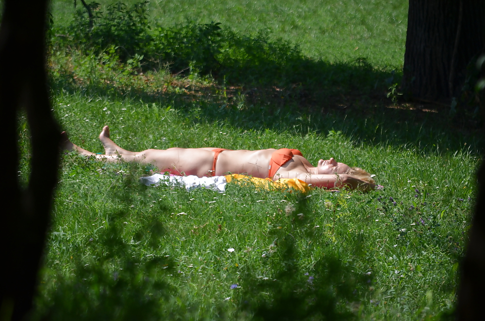 公園で日光浴をするミルフ
 #14803565