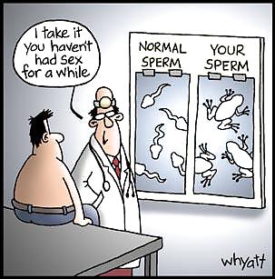 Su zpem tezt
 #21565345