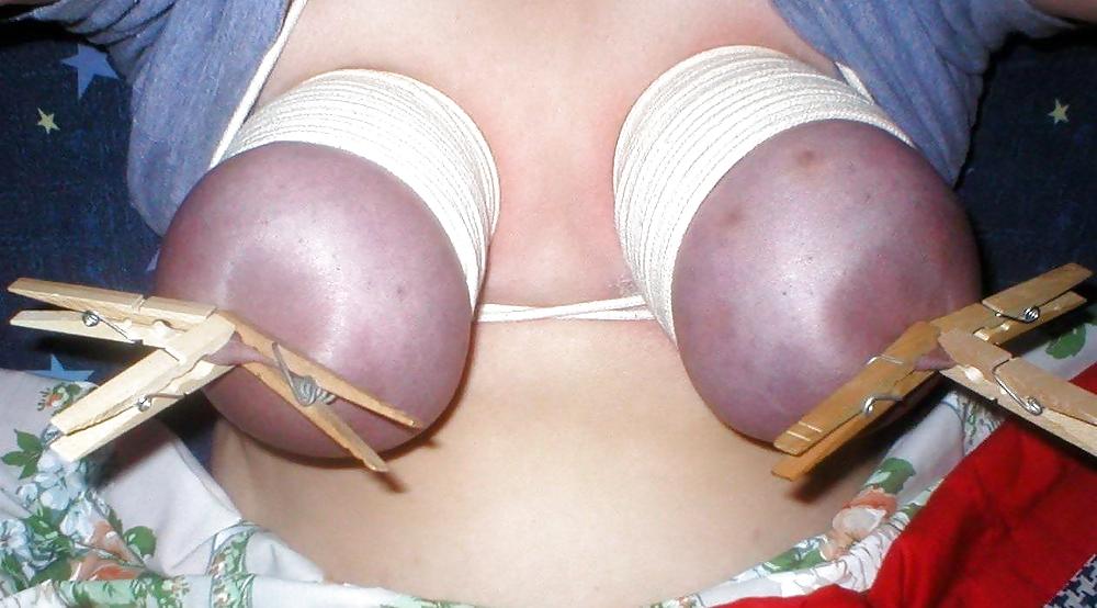 More tits experiments
 #1603436