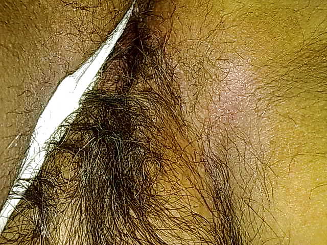 Mogliettina desiderosa
 #6476207