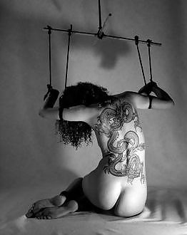 Galería iii
 #2530832