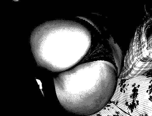 モノクロの巨乳とお尻のアート
 #1958306