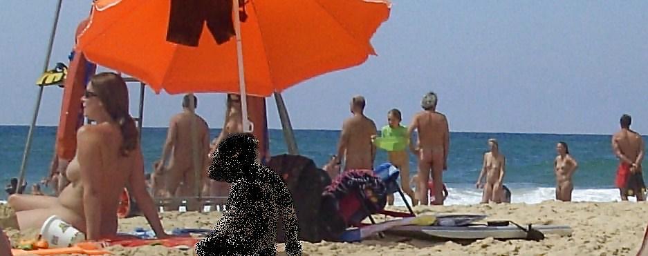 Biarriz naked beach 2011 #8464161